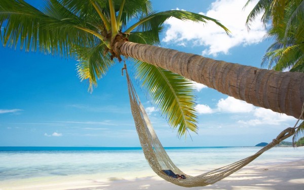 dream-honeymoon-on-phu-quoc-island